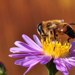 Meet your Posher, Kristin